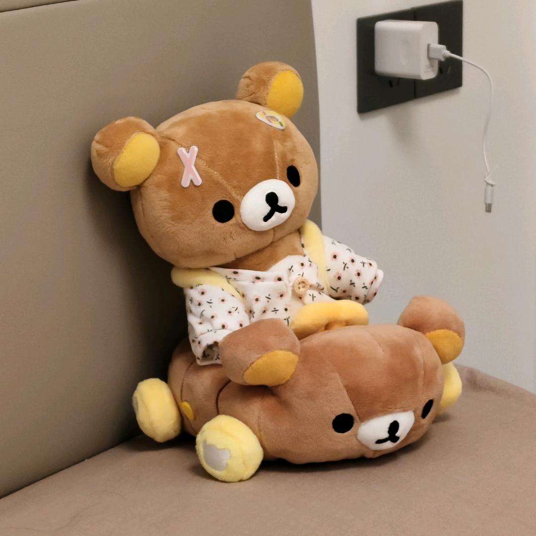 AAA专业回收轻松熊
