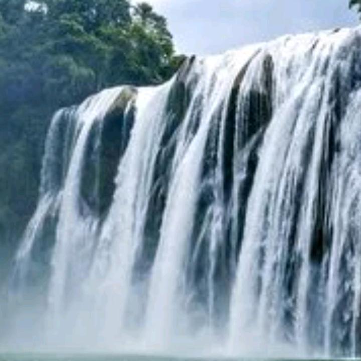 赏景🌲🌲🌴🌴