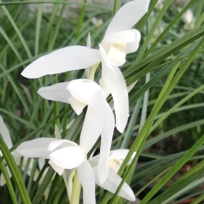 一方小院（华宁）