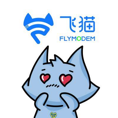 飞猫智联电子专卖店