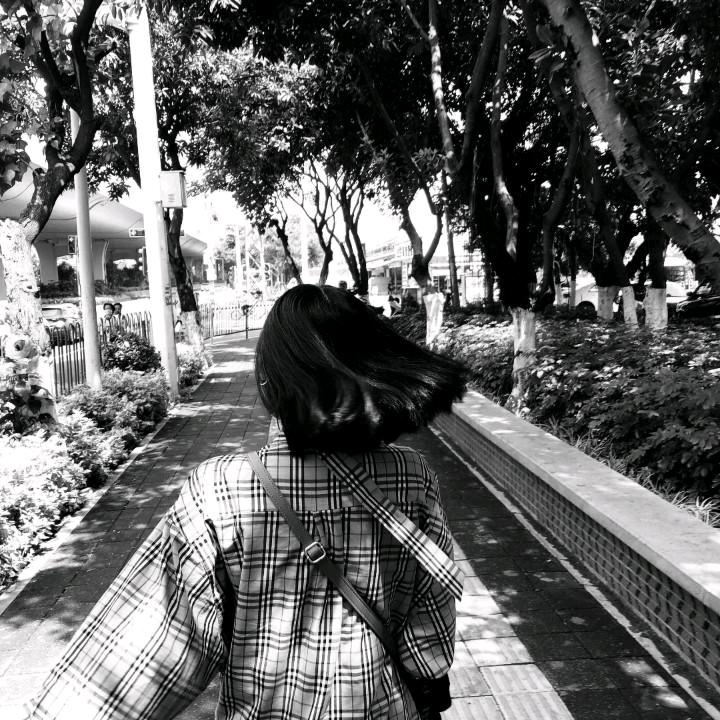 栗毛球