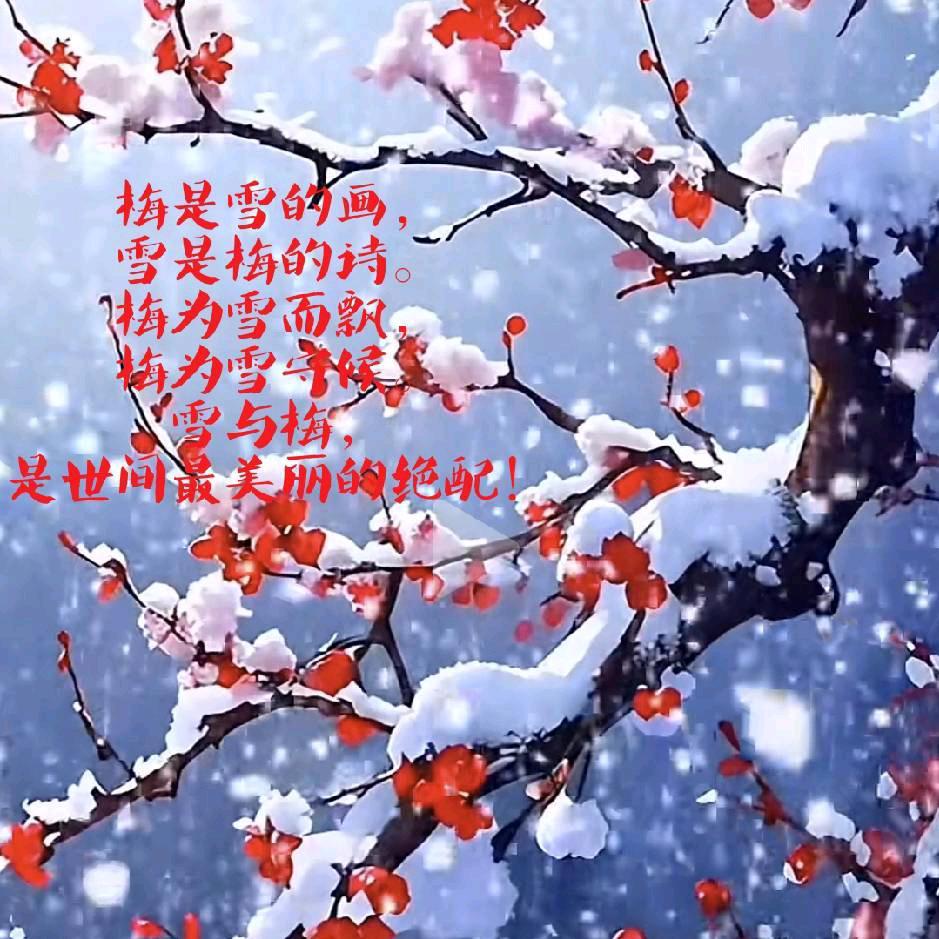 雪花飘飘*