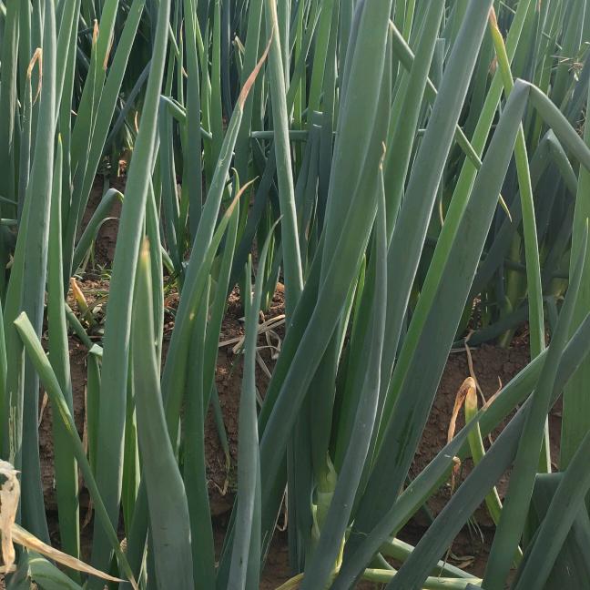 庆义家庭农场小铺