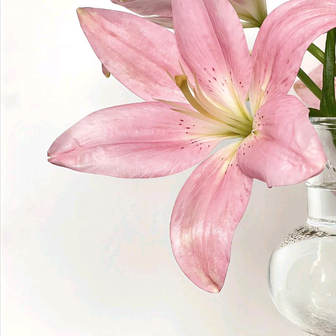 你最最最特别！