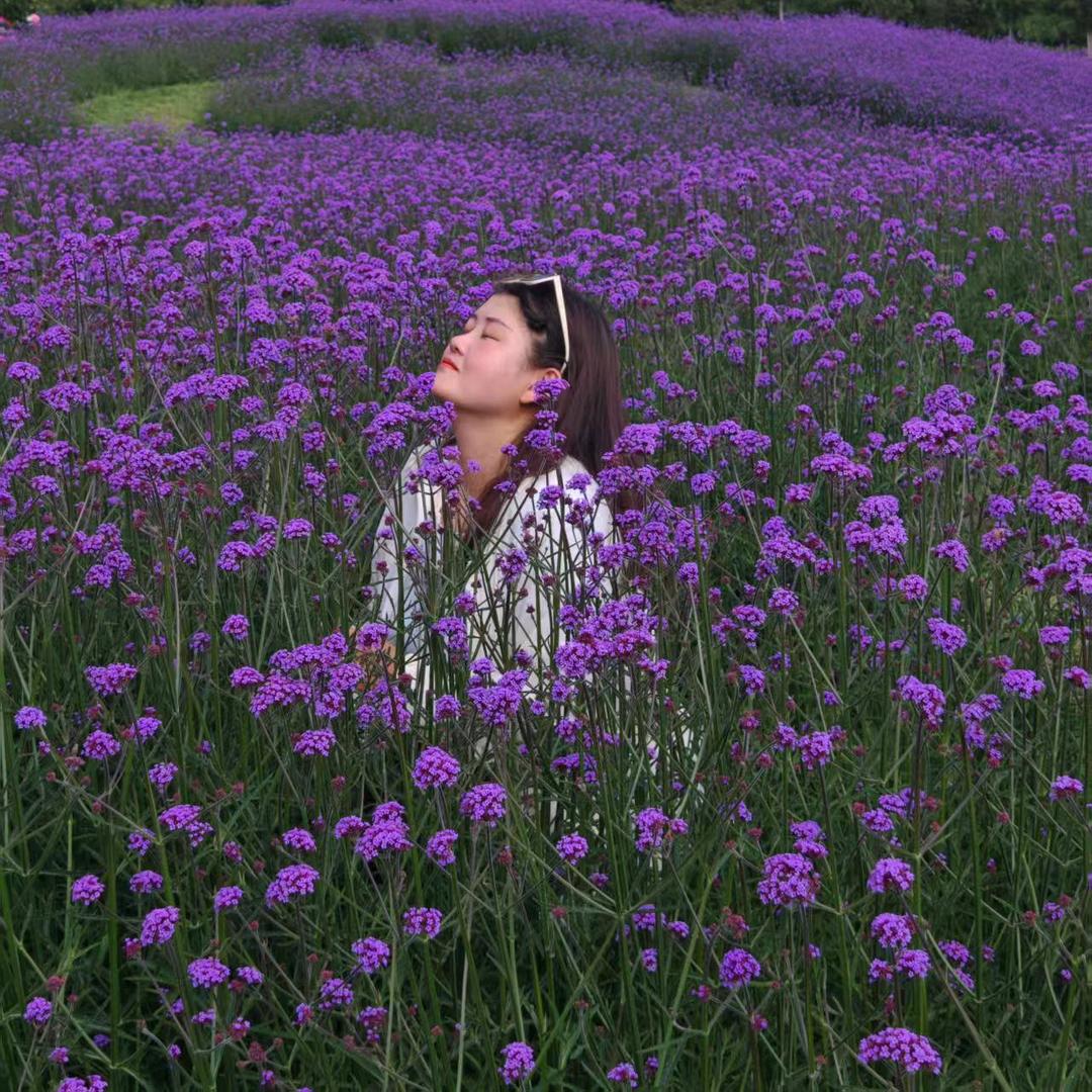 ღ᭄白🕊꧔ꦿ᭄💞