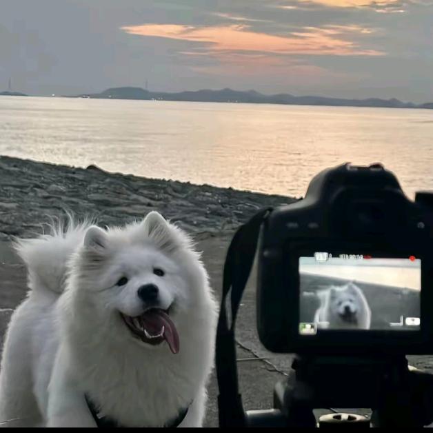 下次看海约在哪里