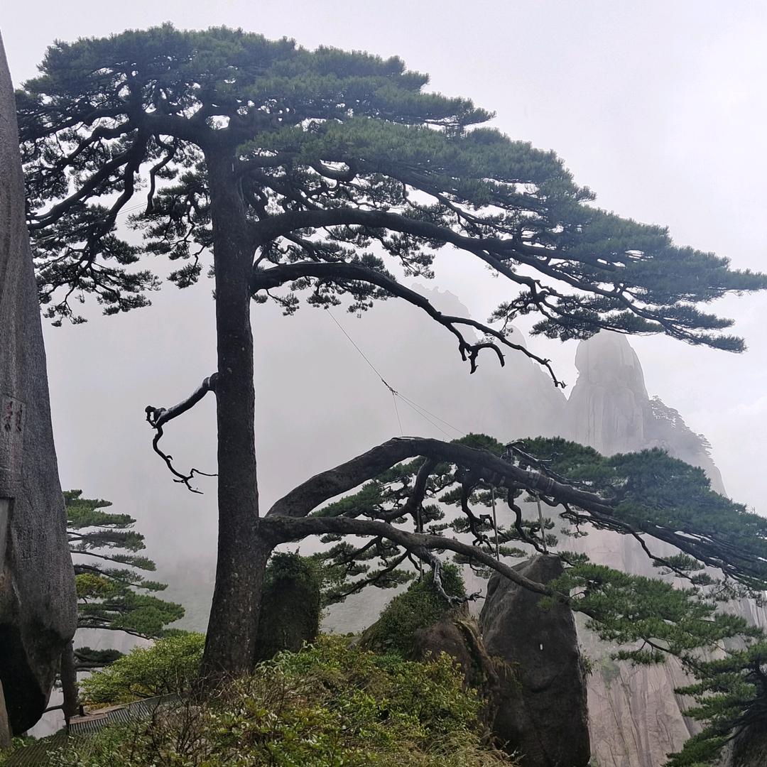 点烟～抽寂寞