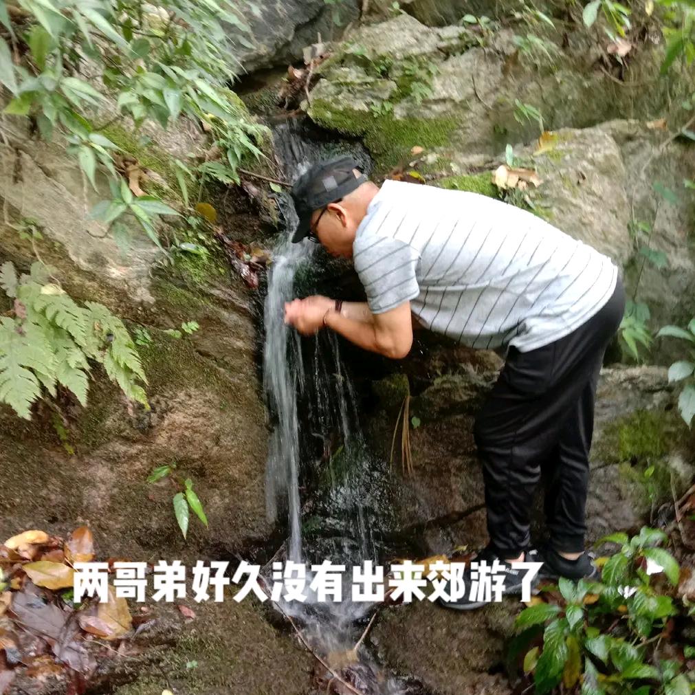 飘飘歌歌