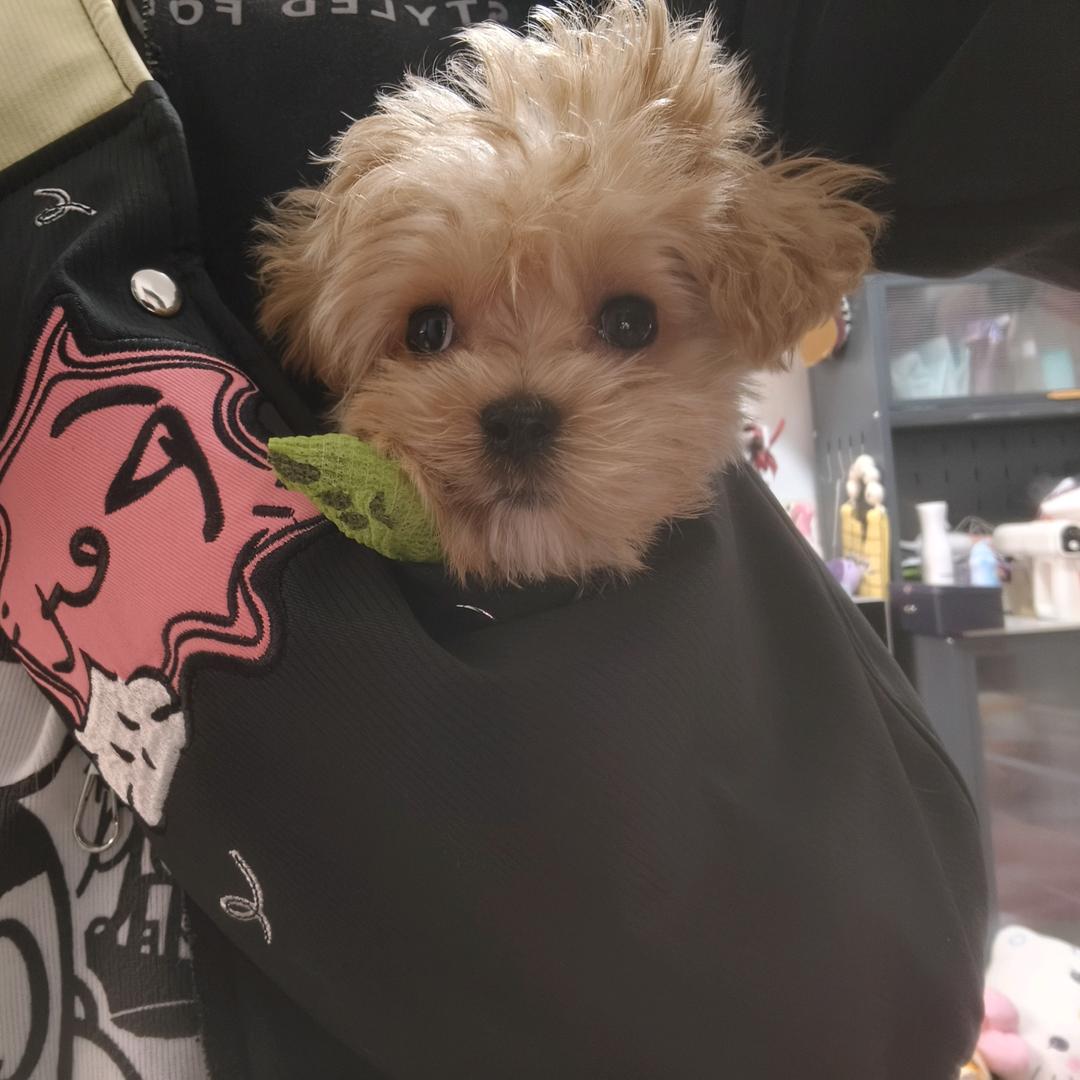 🌈@娜娜@🌈E NA