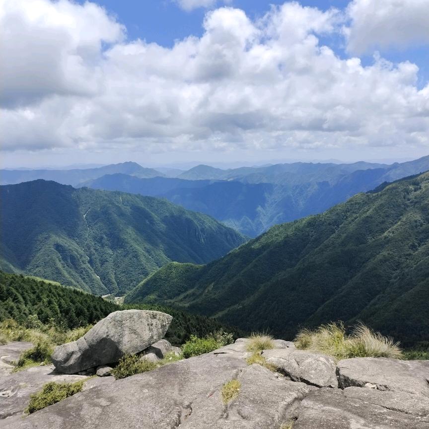 随缘    拒绝连赞