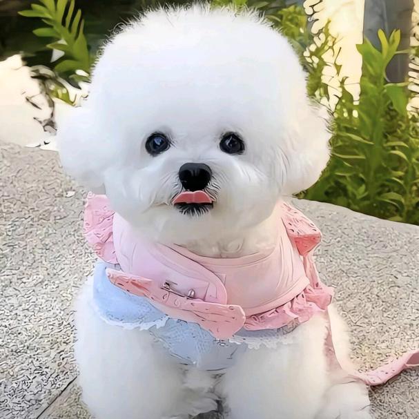 《🍀㞮孞🍀》