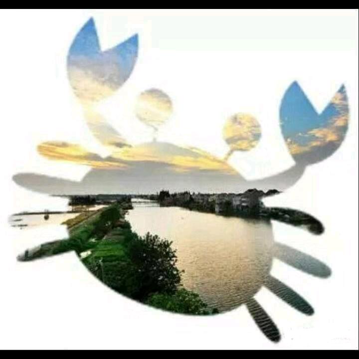 ە大闸蟹养殖户（免费招代理）