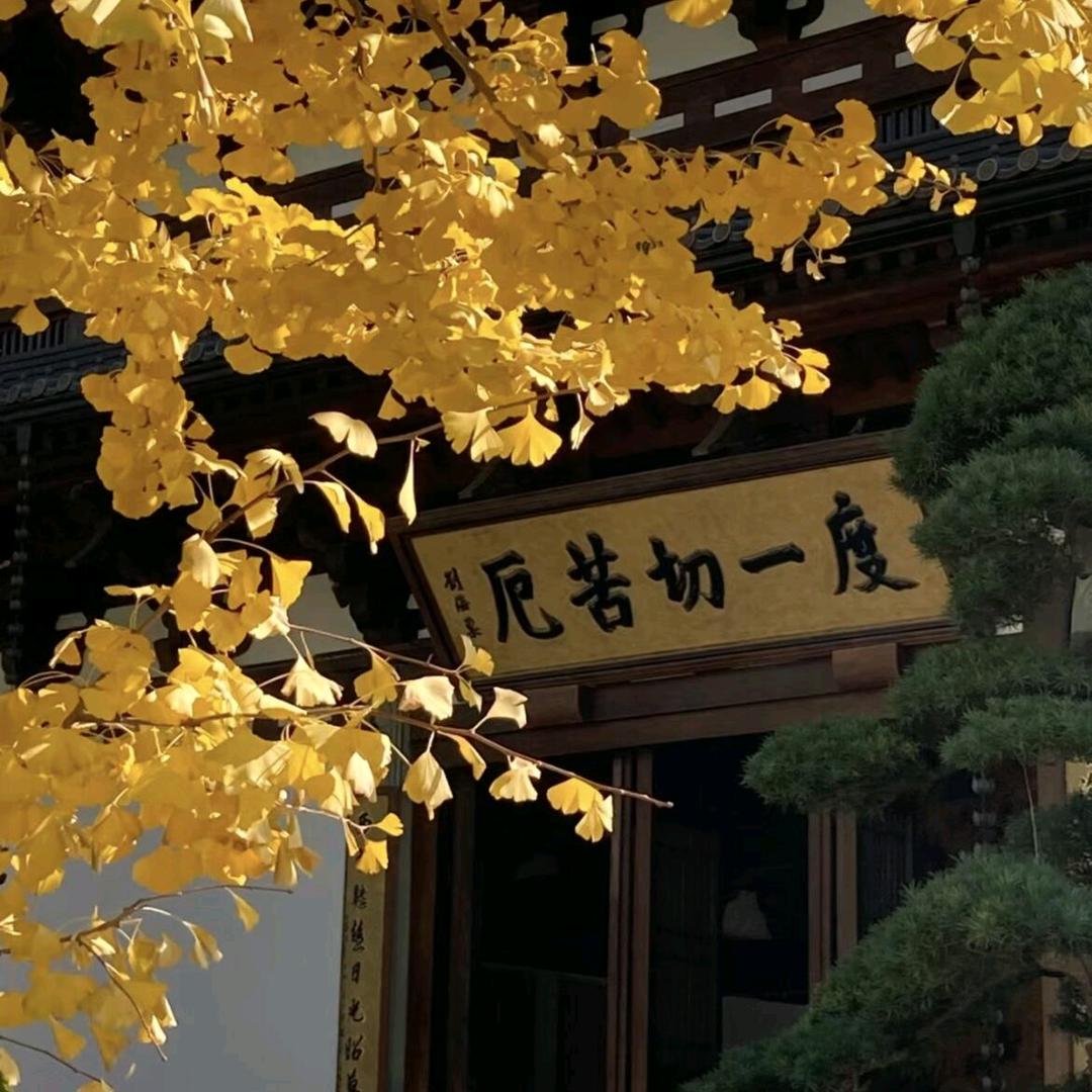 天下径山文创阁