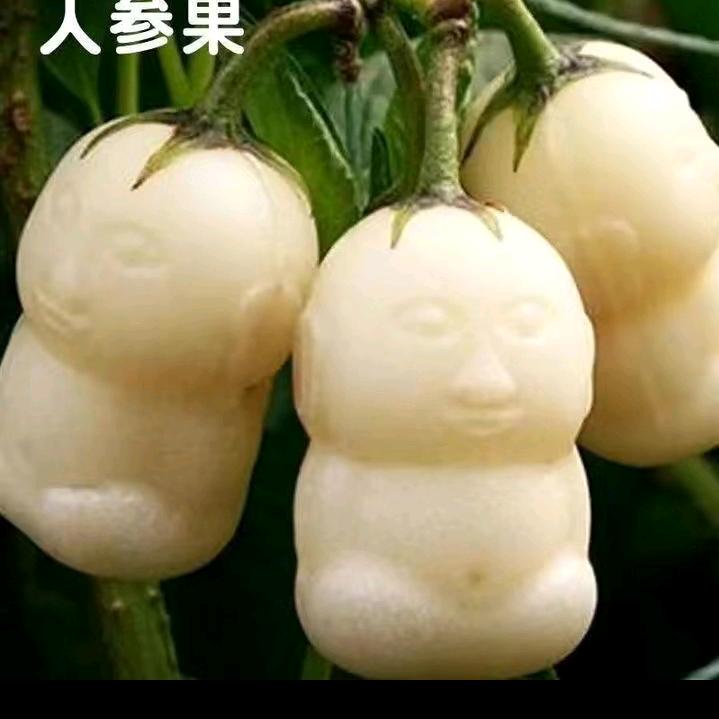 信哥。
