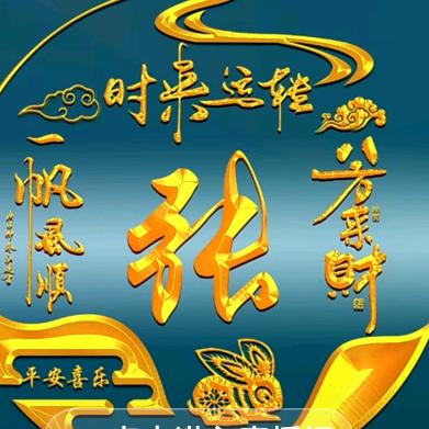 🕊️华油琴姐