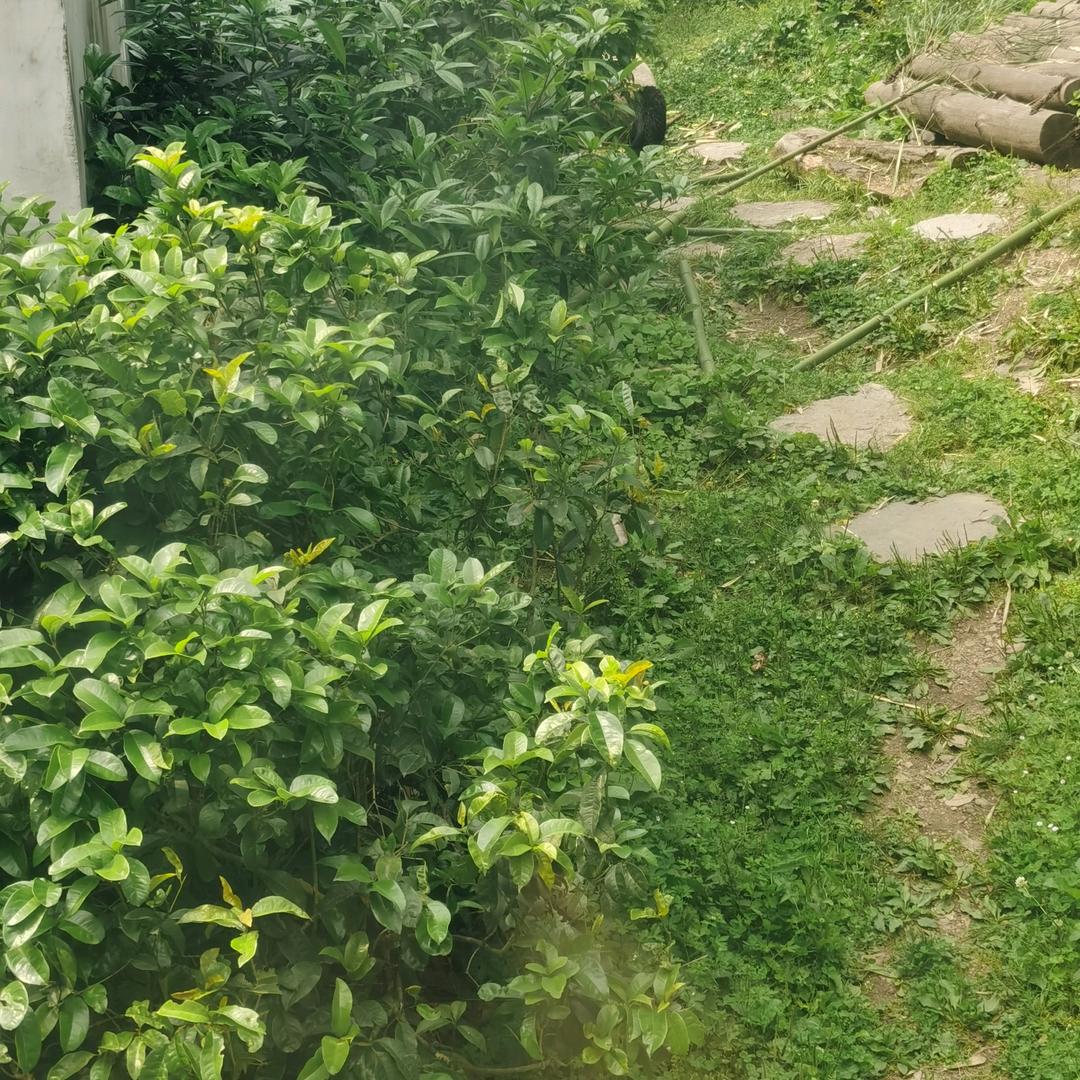 路过