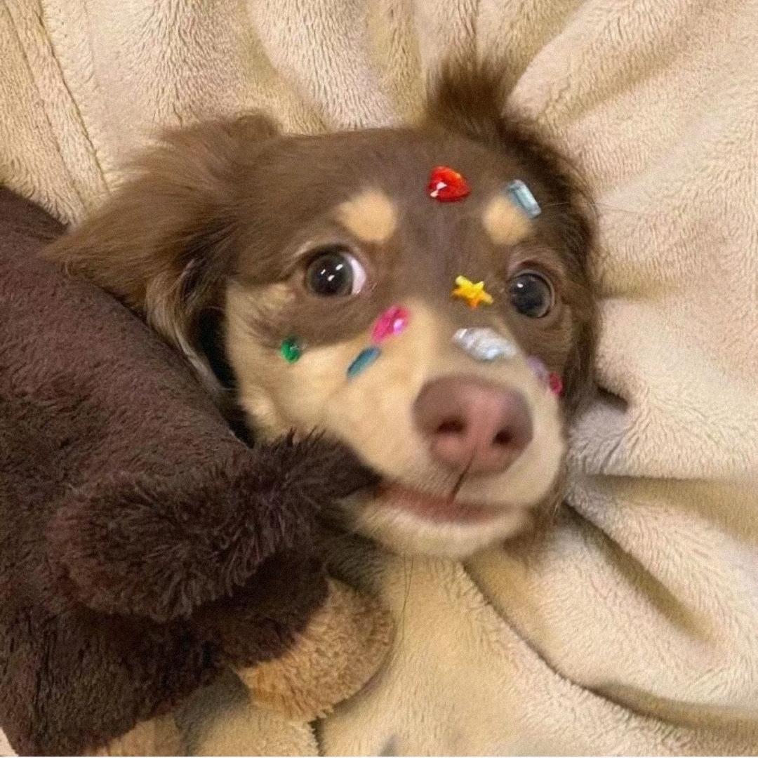 望君登高爱自得