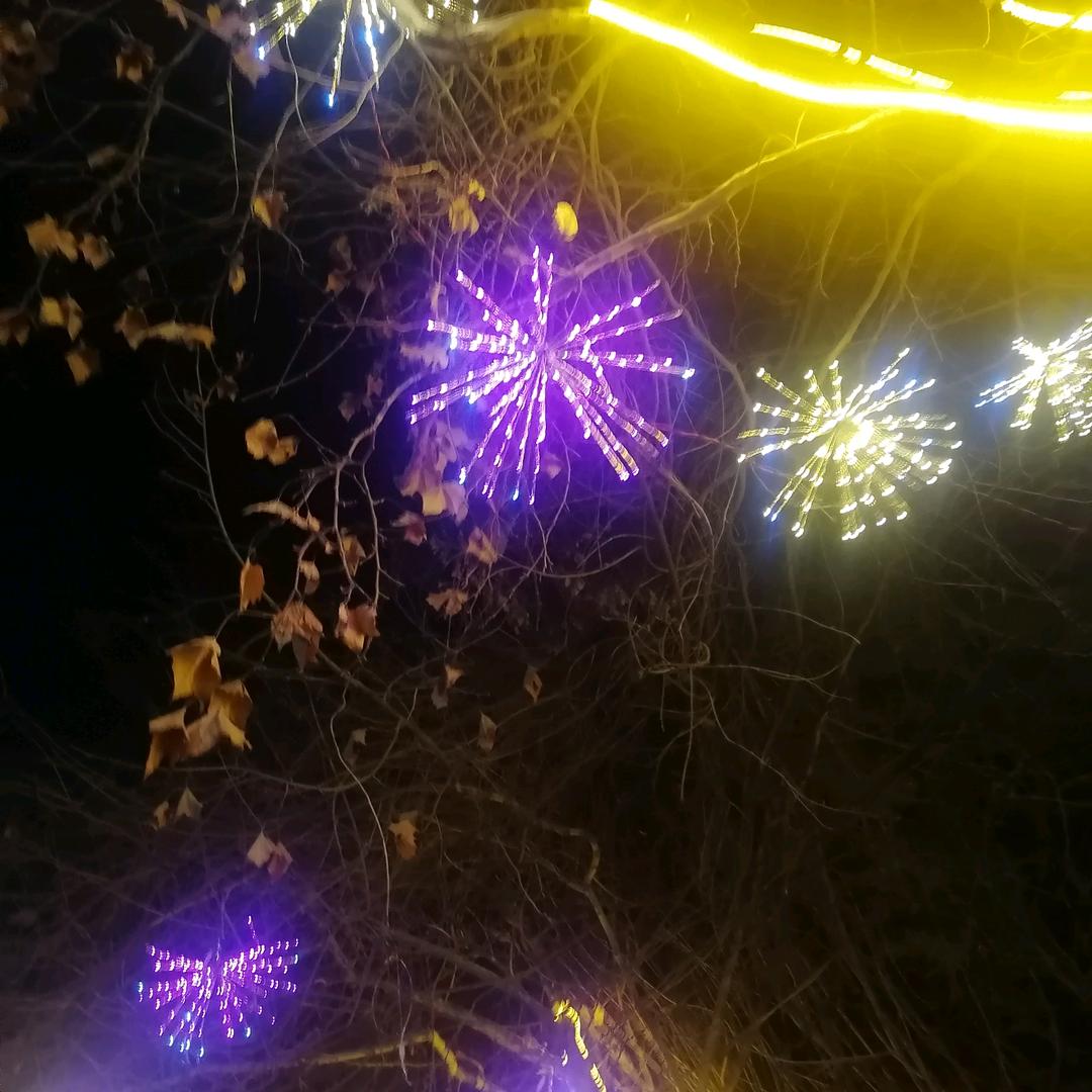 素素爱美食
