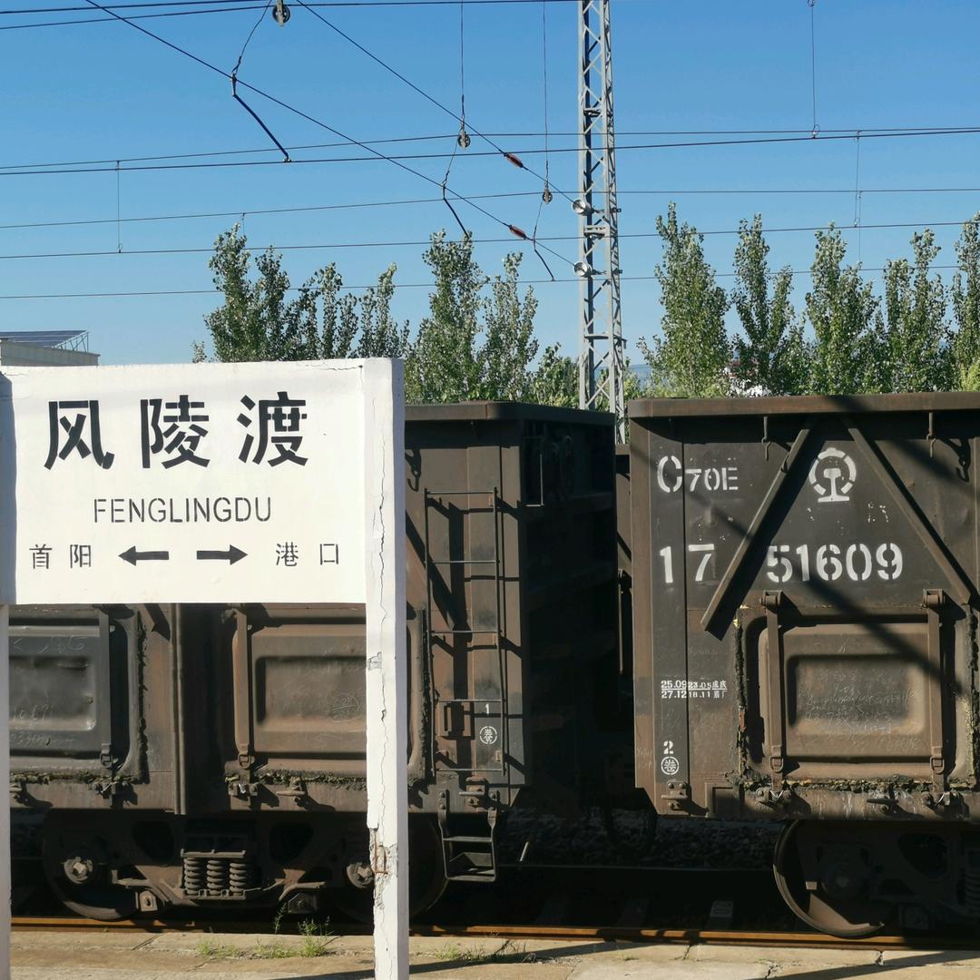 风中的白杨_247712519