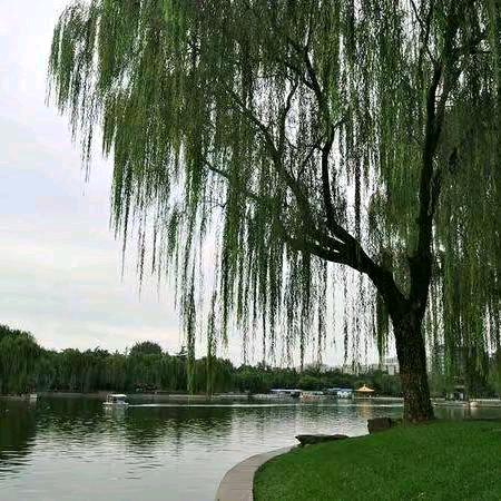 kaifeng13670