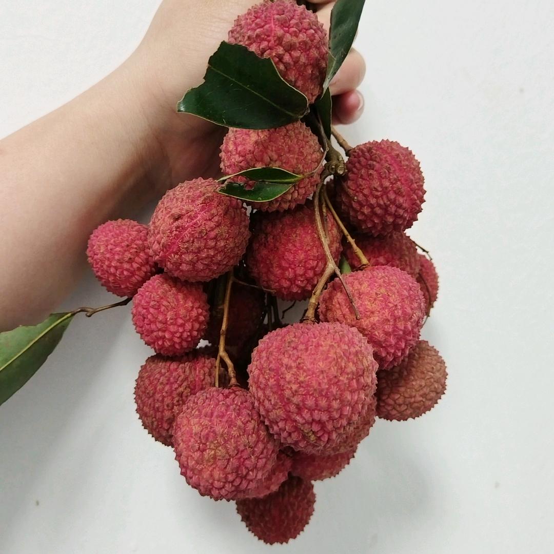 张抖抖