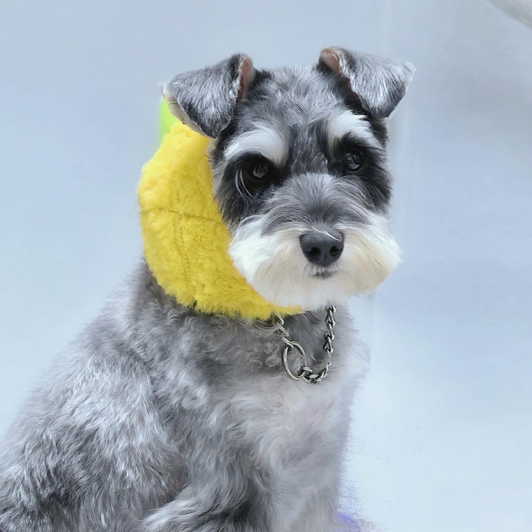 小蜗牛and呦呦～