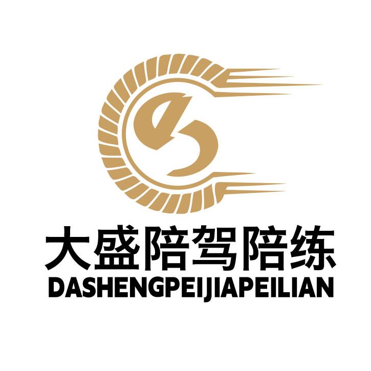 上海大盛汽车陪驾(叶叶)