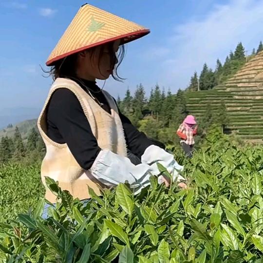好茶道🍀