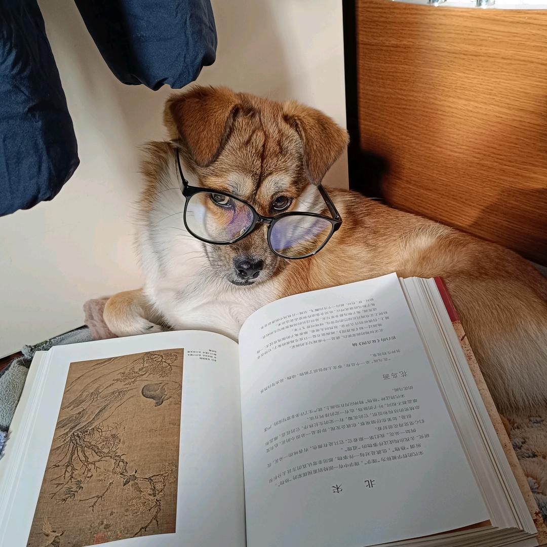 么么酱