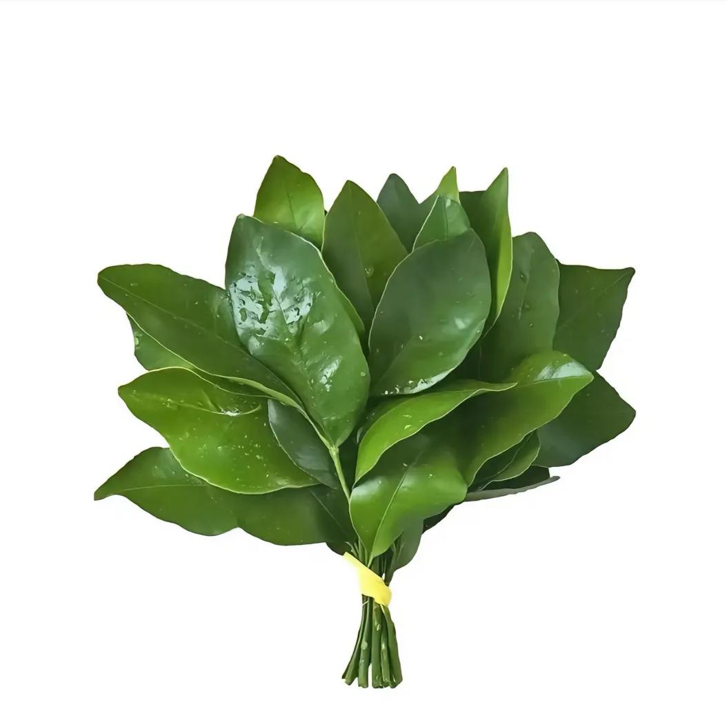 早安小狗