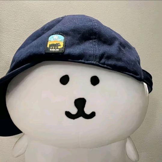 蜡笔小靖
