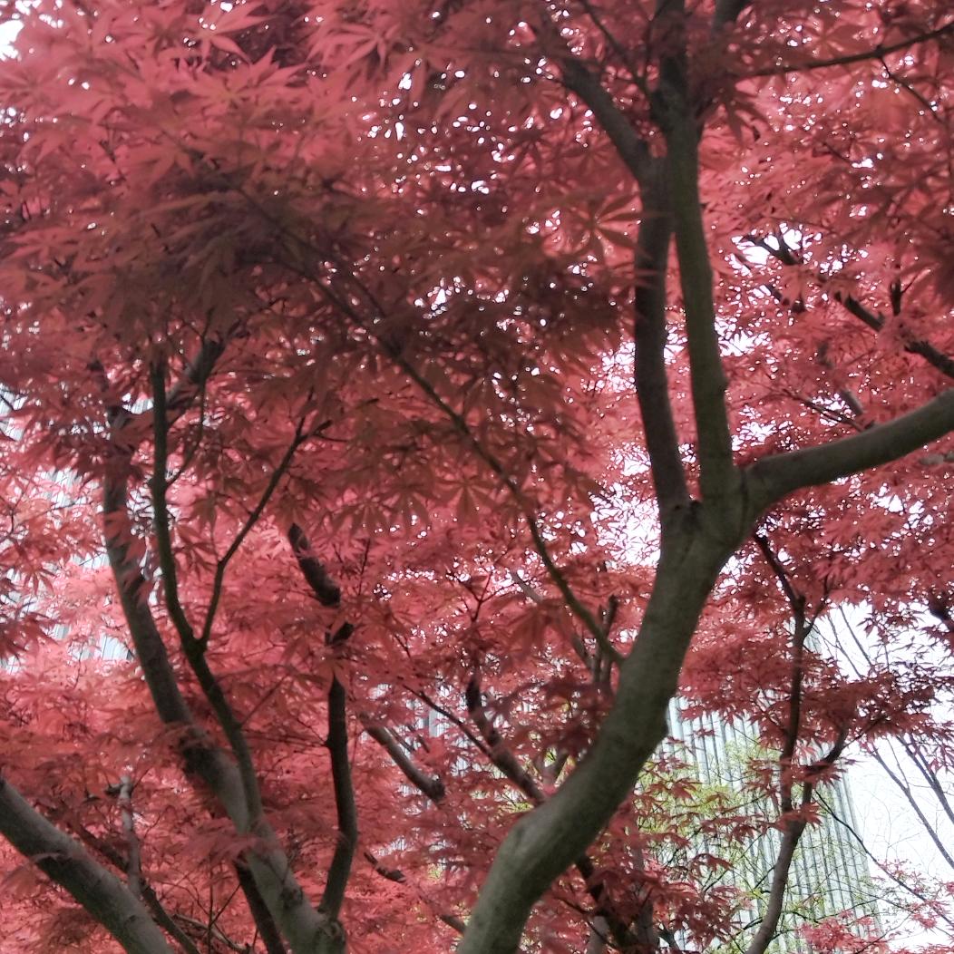 一生平安