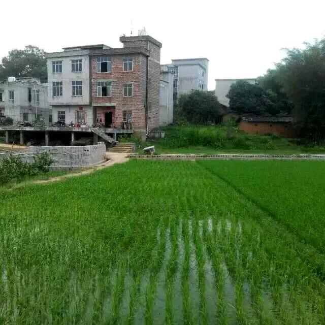 点亮你的心