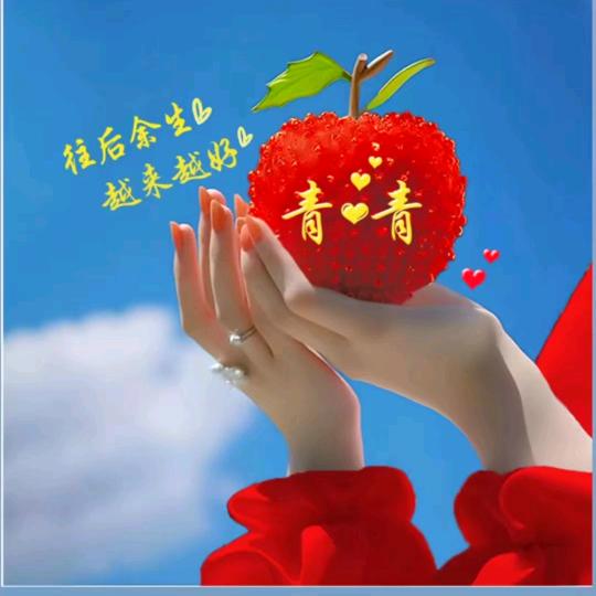 蛋蛋麻麻