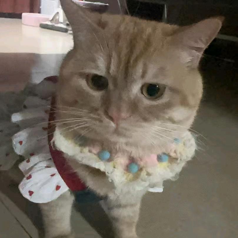 一条曼拉的鱼🐟