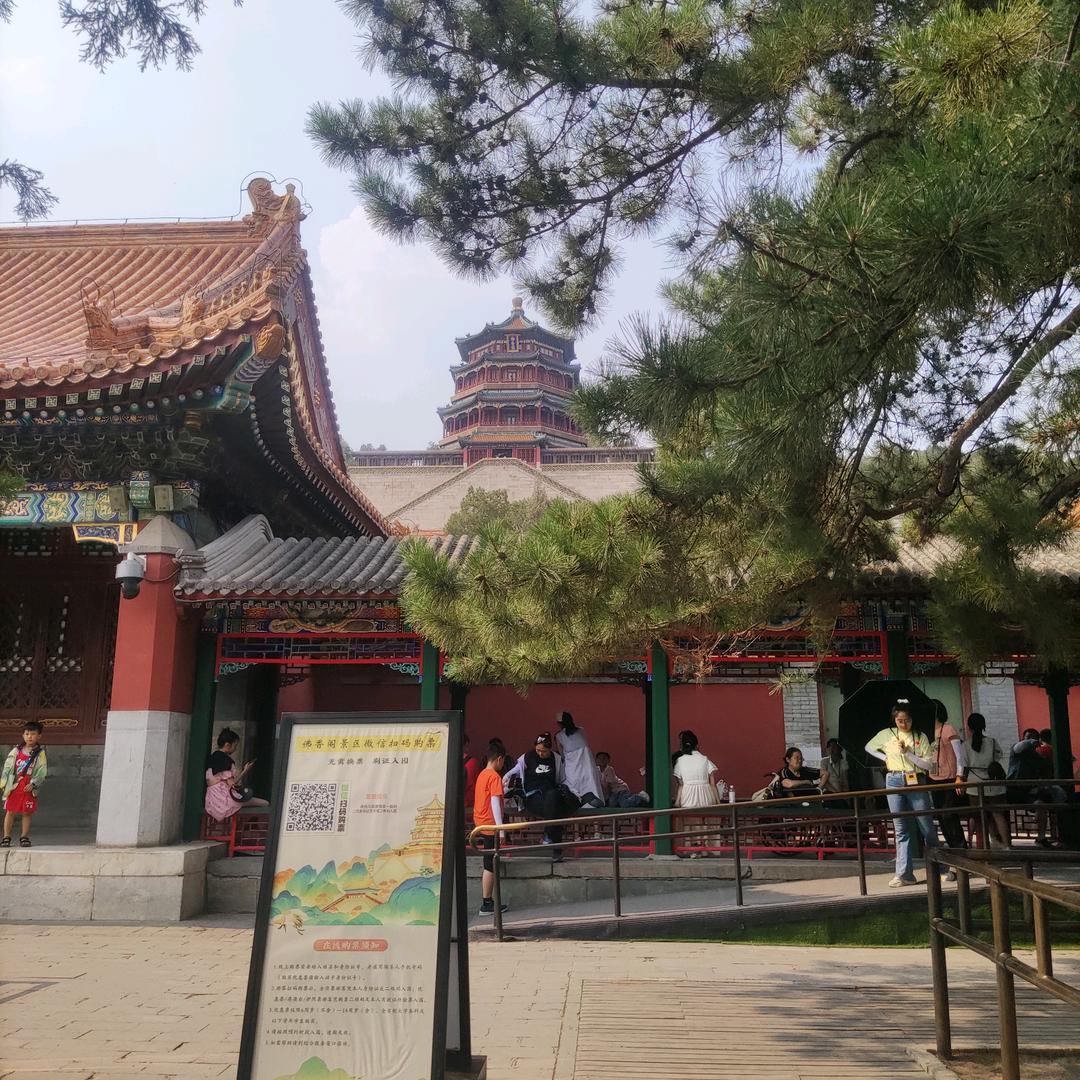 前程似锦