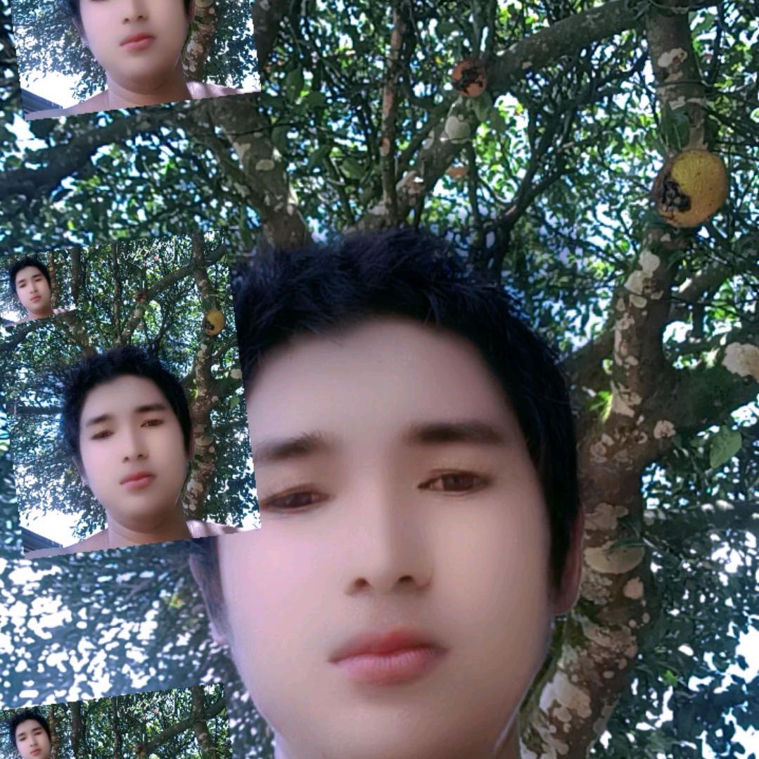 理想