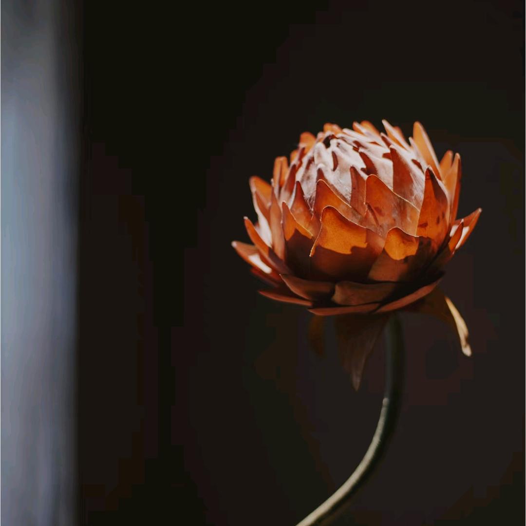 师父的解忧语录