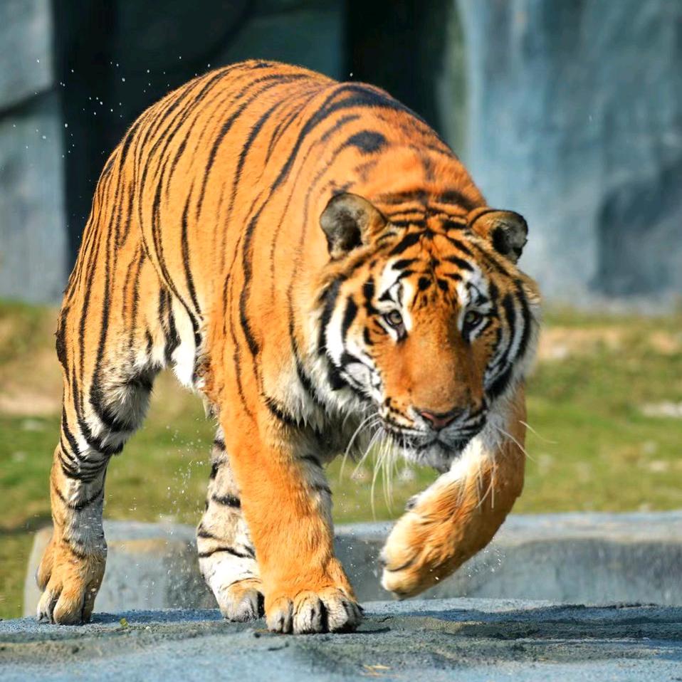 ৡ夜้้ꦿ᭄࿐