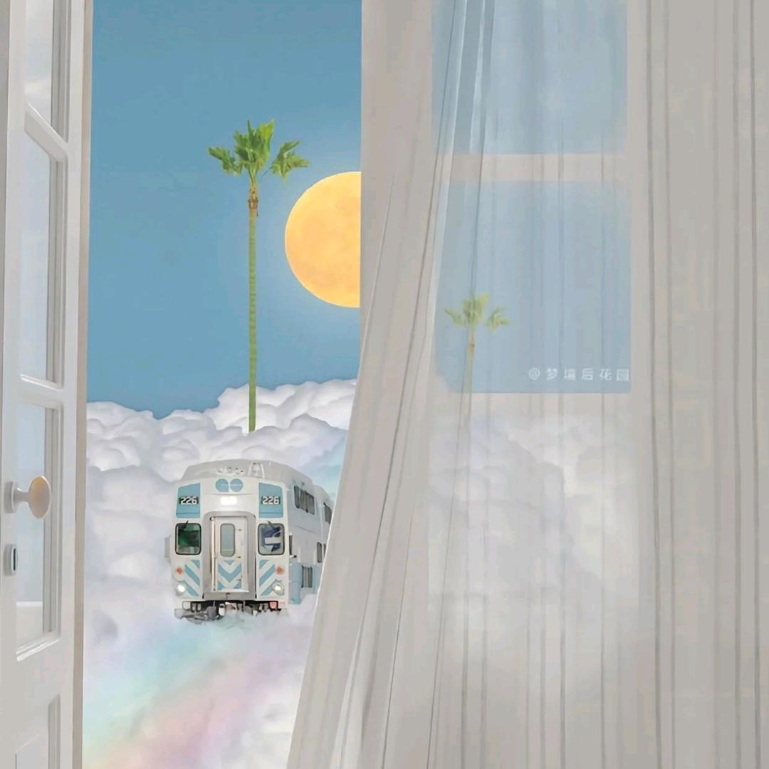 我脸 ₁点也不圆