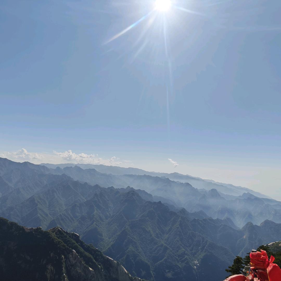 小果