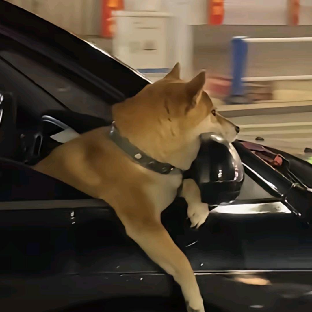 ︍︉︍︍俊楠