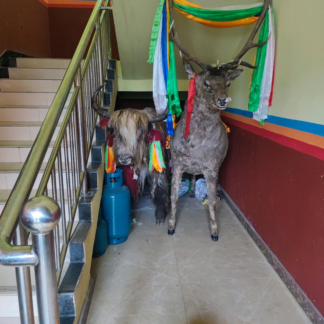 👉没有行动，哪有成功🏆