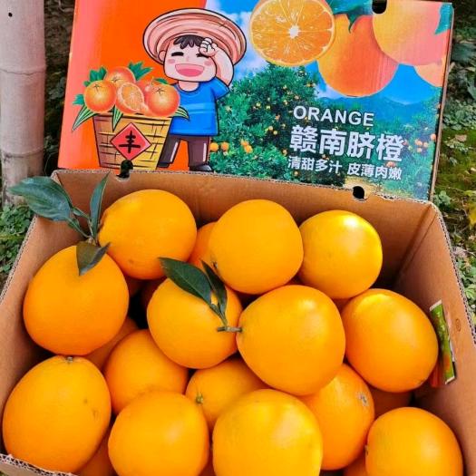 赣南产地果园直发