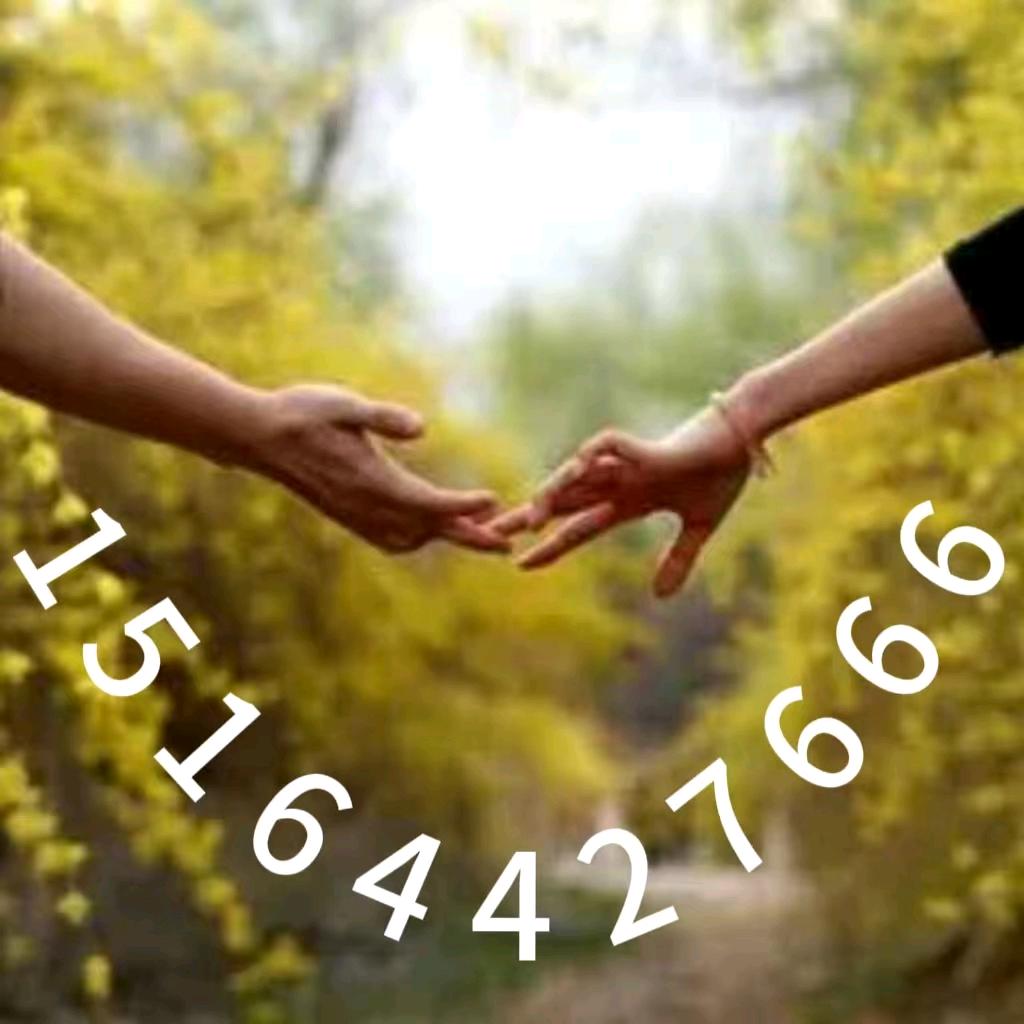 工程模板木方批发