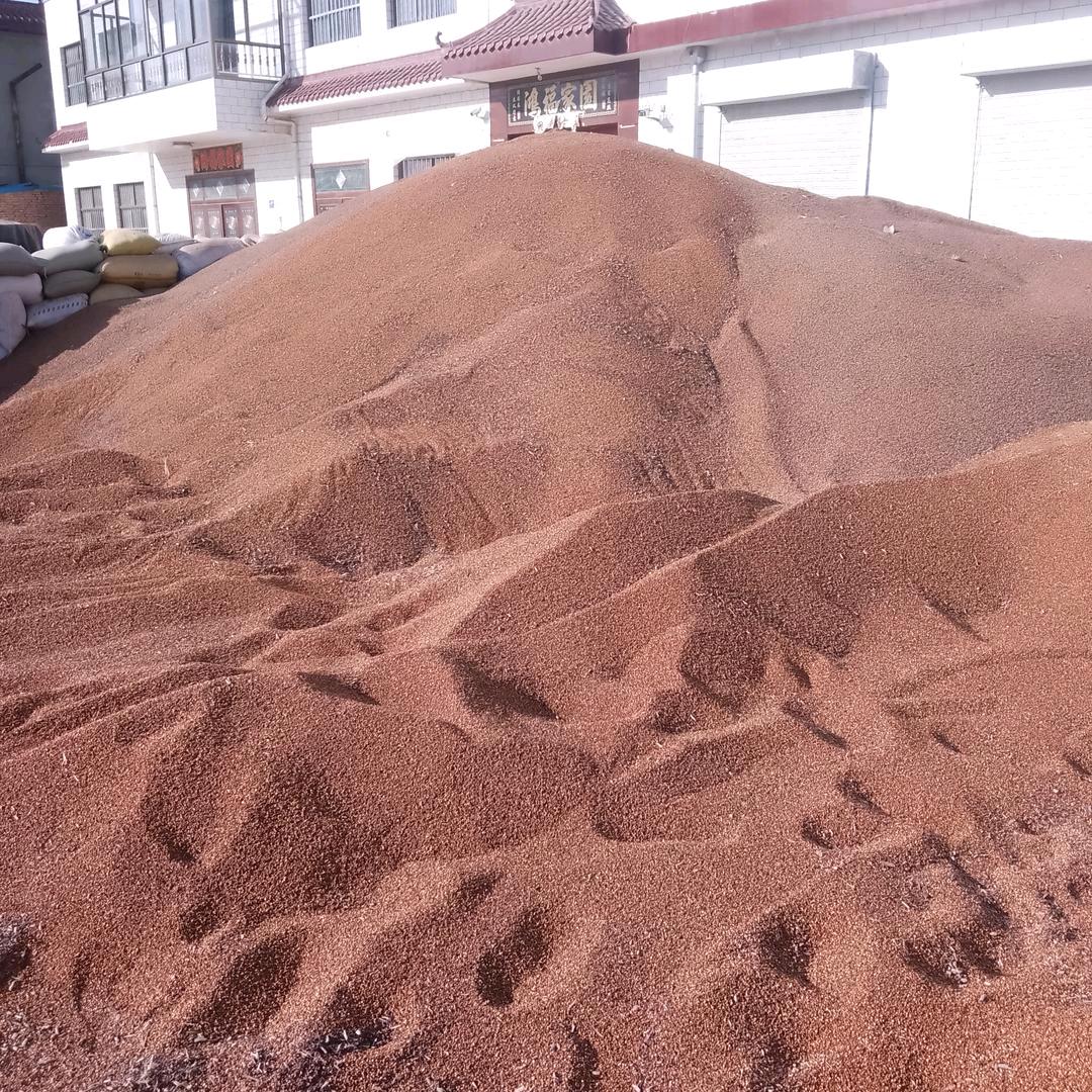 庆阳鹏哥农产品购销。