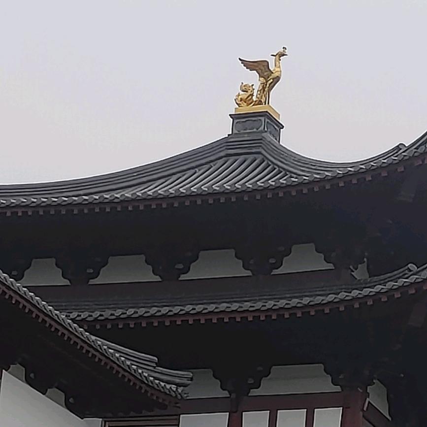 鑫福源全驴肉店