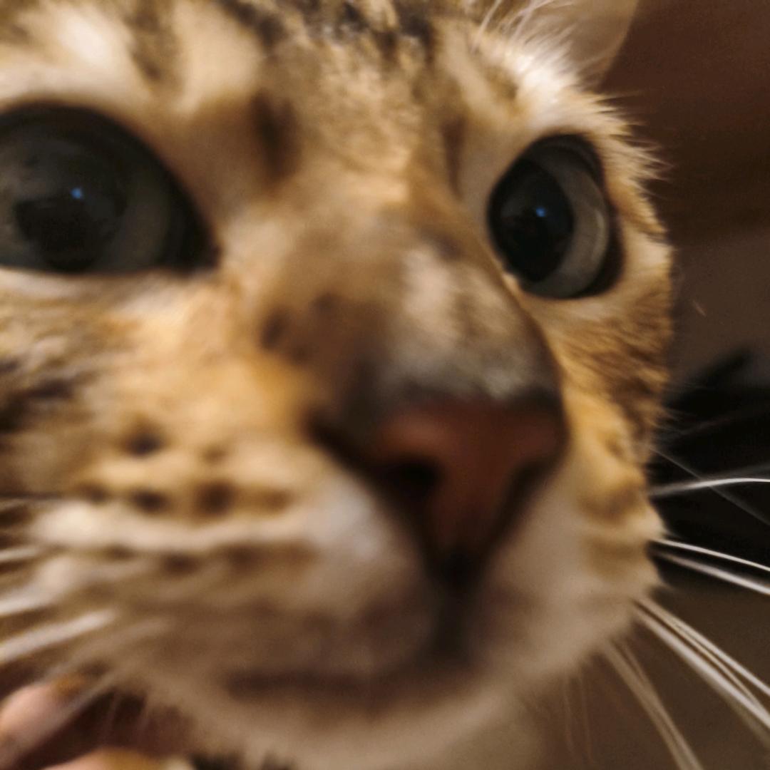 小雄