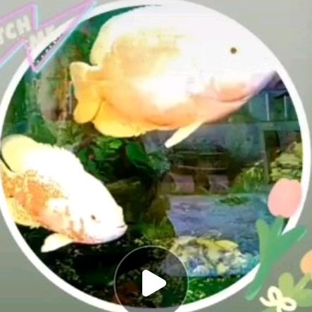 順其自然