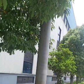 雨中漫步（橱窗有好物）